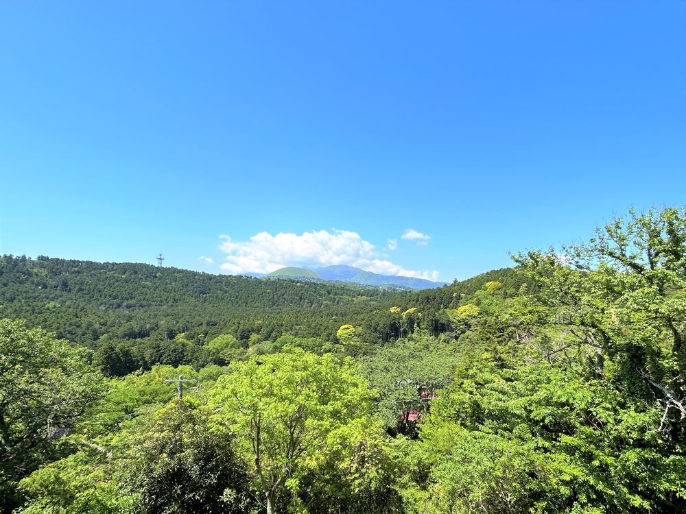 貸別荘 木琴館 大室山の眺望